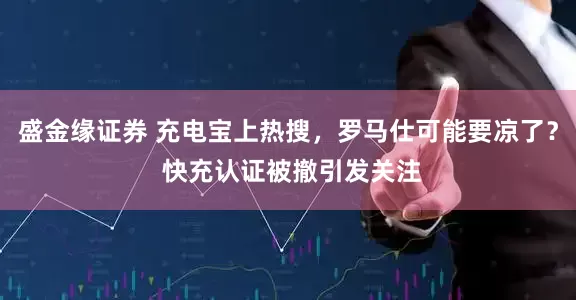 盛金缘证券 充电宝上热搜，罗马仕可能要凉了？ 快充认证被撤引发关注