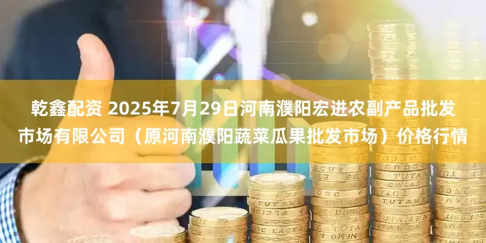 乾鑫配资 2025年7月29日河南濮阳宏进农副产品批发市场有限公司（原河南濮阳蔬菜瓜果批发市场）价格行情