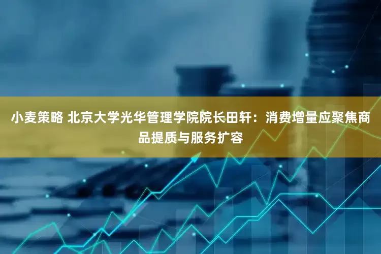 小麦策略 北京大学光华管理学院院长田轩：消费增量应聚焦商品提质与服务扩容