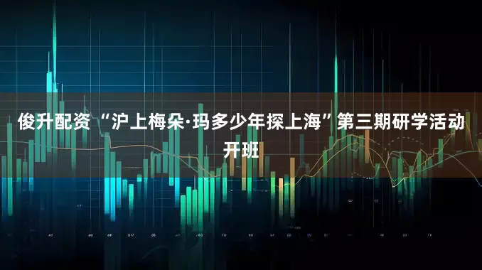 俊升配资 “沪上梅朵·玛多少年探上海”第三期研学活动开班